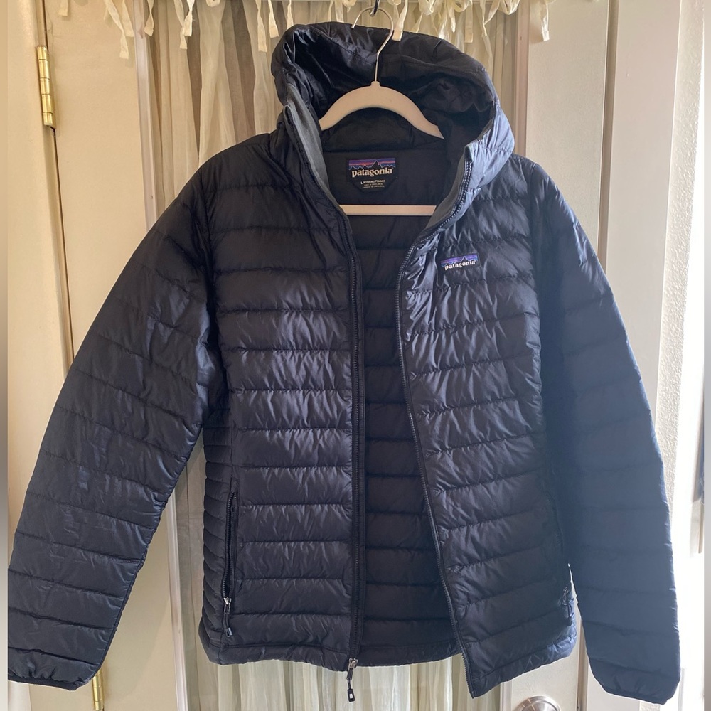 Patagonia Puff Hoody
